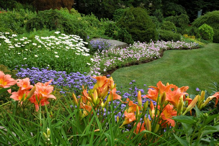 Garden Butterfly Survey