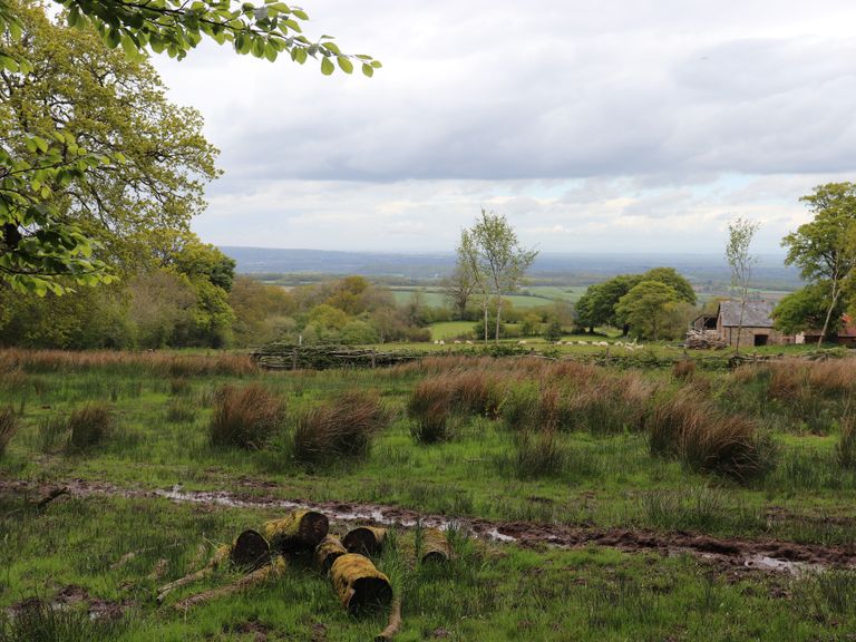 Mendip Hills