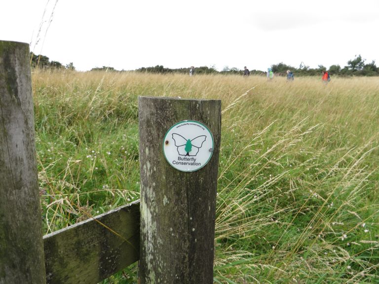 Mendip Hills